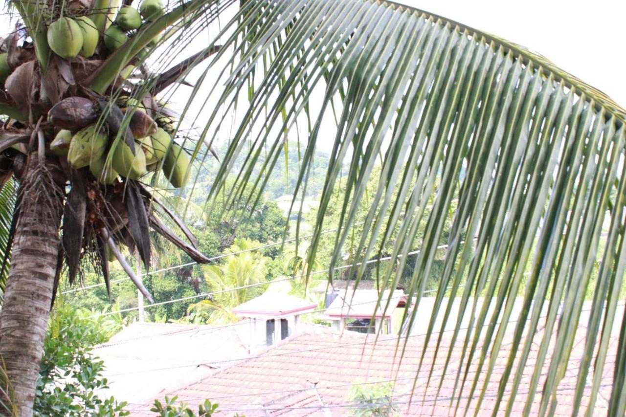 Resident View Homestay Kandy Exterior photo